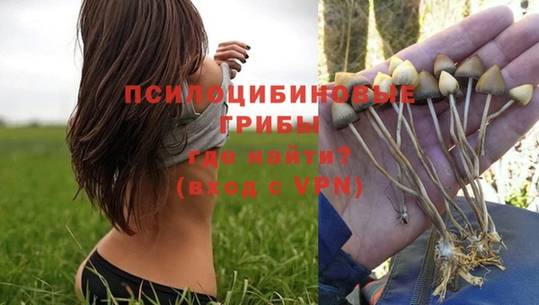 дмт Алексеевка