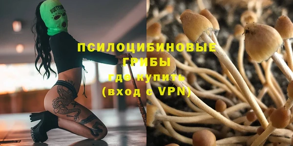 круглые Алзамай